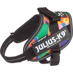 Julius K9 sele IDC Raggae Canis Hundsele